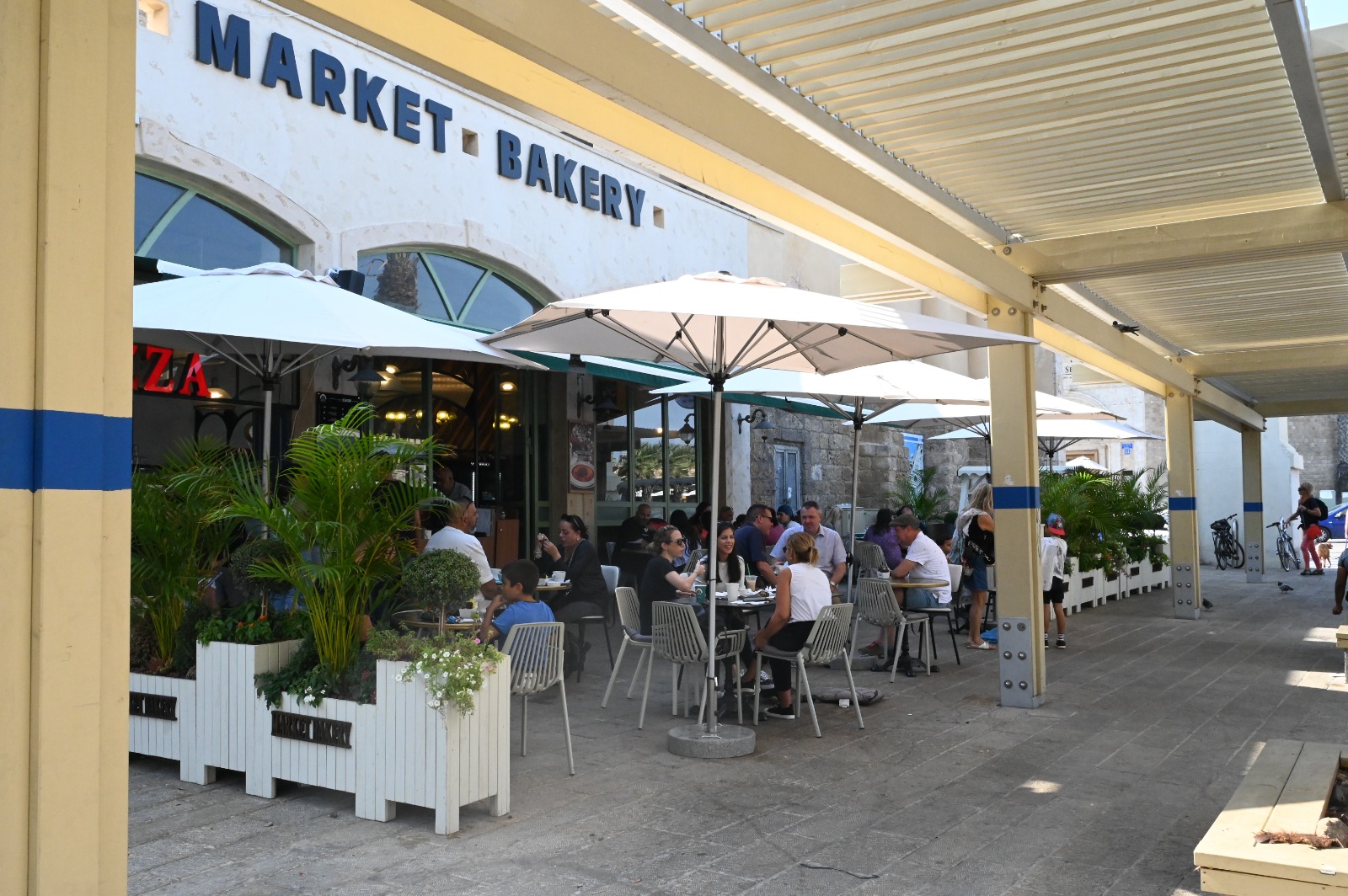 WhatsApp Image 2022-11-16 at 10.29.21 AM.jpeg